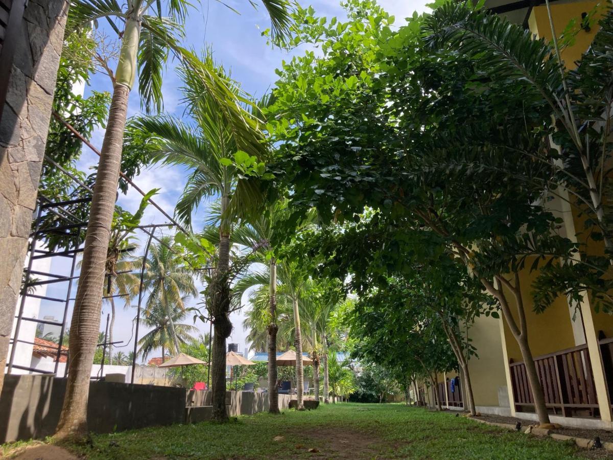 Handagedara Resort & Spa Мириса Екстериор снимка