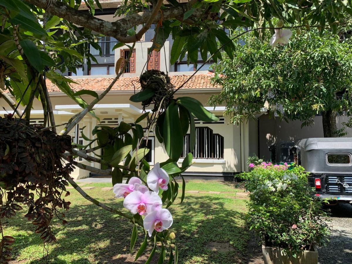 Handagedara Resort & Spa Мириса Екстериор снимка
